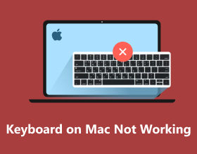 Keyboard On Mac Not Working