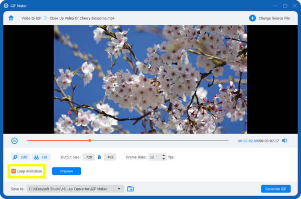 4GIF ad anello Easysoft
