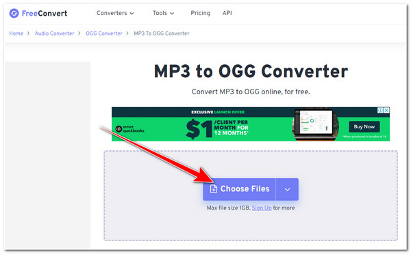 FreeConvert MP3-Datei importieren
