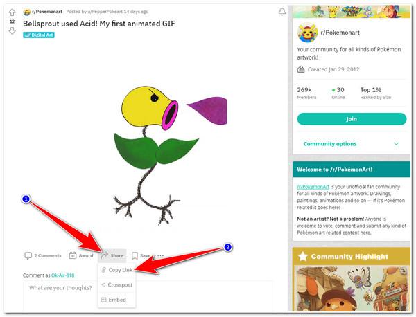 RapidSave Access GIF Kopioi linkki