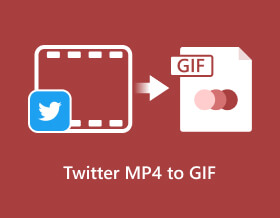 Twitter Mp4 to GIF