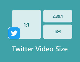 Twitter Video Size