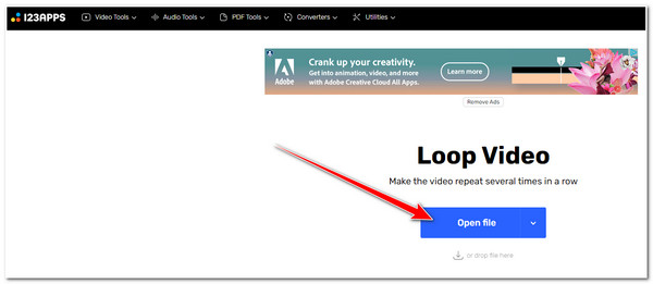 Video Looper Access Site Import Video