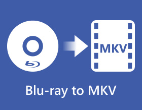 Blu-ray to MkV