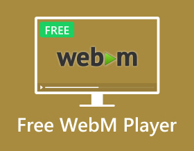 Free WebM Player