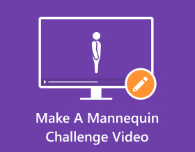 Make A Mannequin Challenge Video
