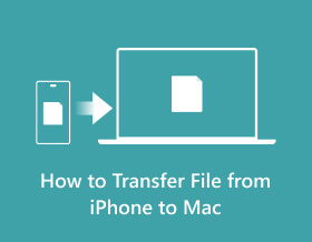 How to Transfer Files from iPhone to Mac