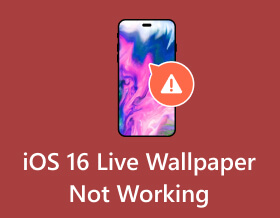 iOS 16 Live Wallpaper not Working