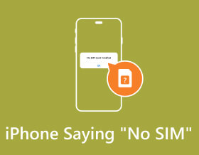 iPhone Saying No Sim