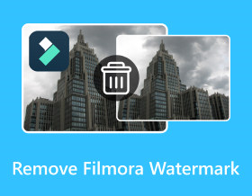 Remove Filmora Watermark