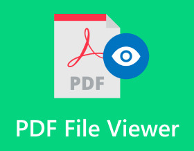 PDF File Viewer