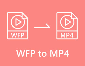 WFP to MP4