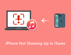 iPhone Not Showing Up in iTunes