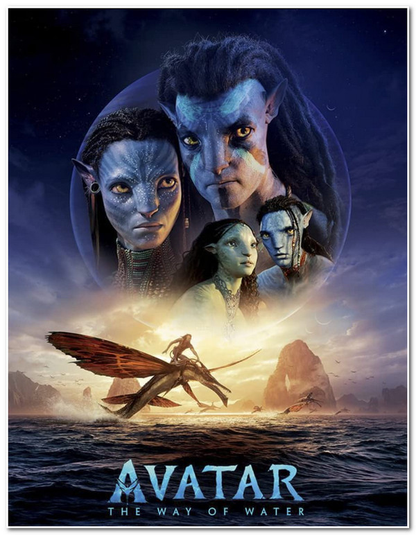 Avatar DVD Movie