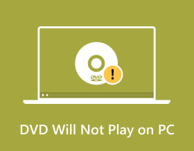 DVD Will Not Play on PC