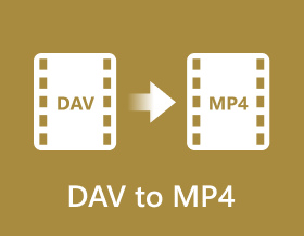 DAV MP4:ksi
