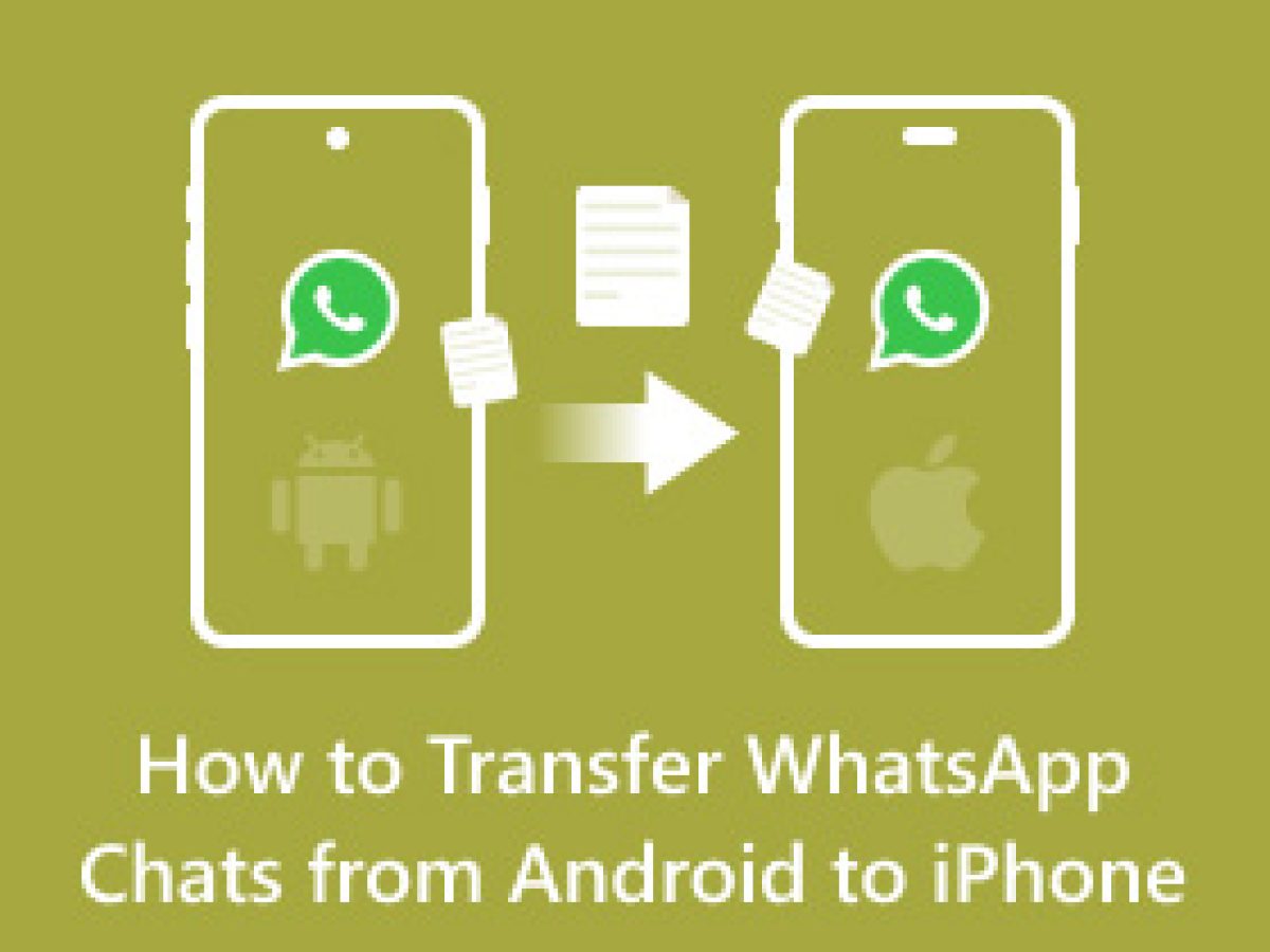 如何将WhatsApp 聊天记录从Android 转移到iPhone 的4 种方法