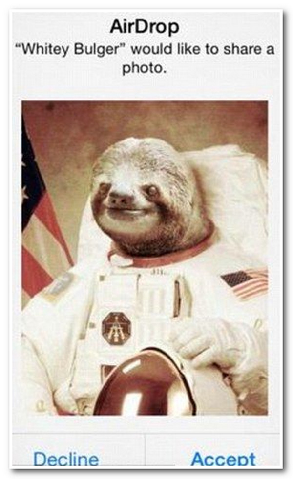 Haiwan Sloth