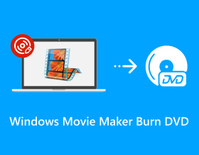 Windows Movie Maker Burn DVD S
