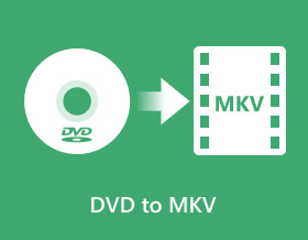 DVD:lle Mkv S
