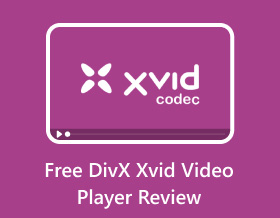 Bezplatná recenze přehrávače videa Divx Xvid S