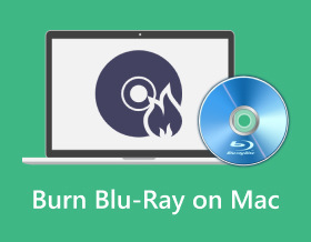 Polta Blu Ray Macissa