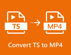 Převést Ts na Mp4