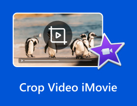 Rajaa Video Imovie
