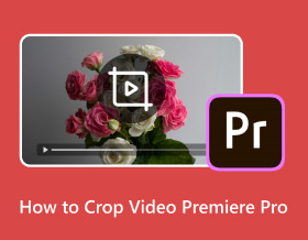Video Premiere Pron rajaaminen