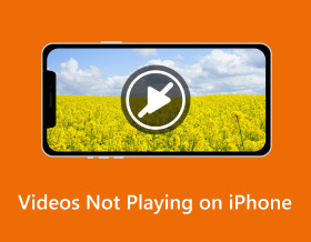 Videot eivät toistu iPhonessa