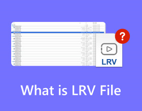 Mikä on Lrv-tiedosto