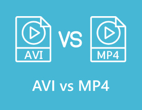 Avi vs Mp4