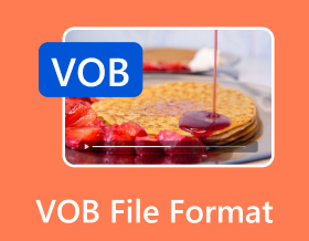 Formát souboru VOB