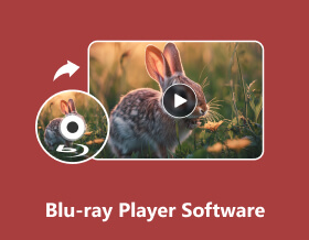 Blu-ray-soitinohjelmisto S