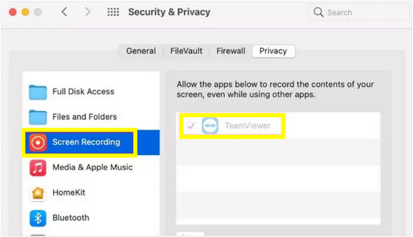 Enable Teamviewer For Recording