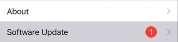 iPhone iOS-Update