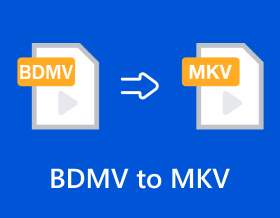 Da Bdmv a Mkv
