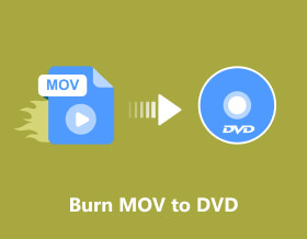 Masterizza MOV su DVD S