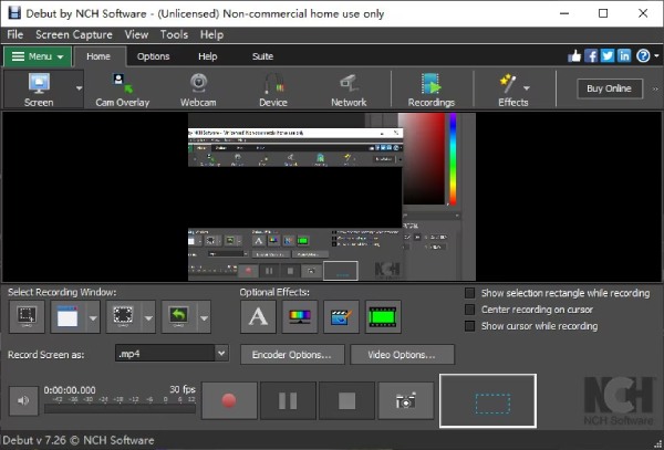 Debut Video Capture Interface