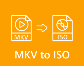 Da Mkv a Iso