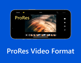 Prores Videoformaat S