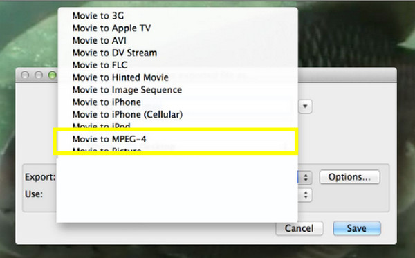 Quicktime Player Choose MPEG4