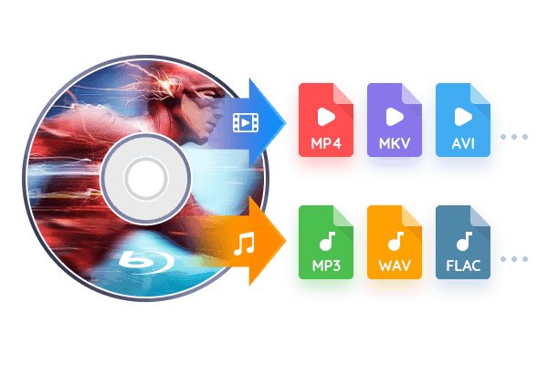 Wide Compatibility Dvdfab