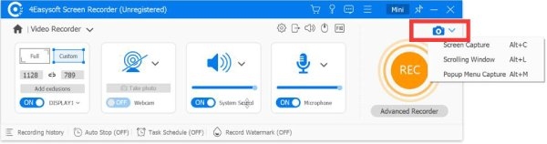 4Easysoft 选择屏幕截图