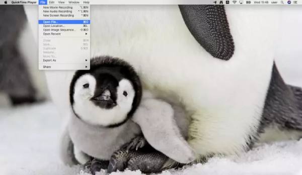 iMport Video File Qt