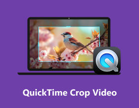 Quicktime vágás videó