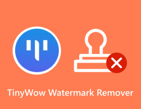 Eliminador de marcas de agua Tinywow
