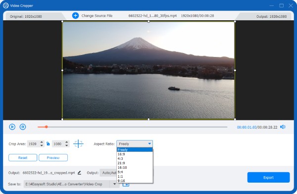 4easysoft Choose An Aspect Ratio