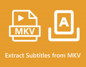 Extract Subtitles From Mkv