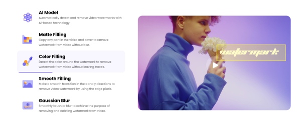 Hitpaw Features